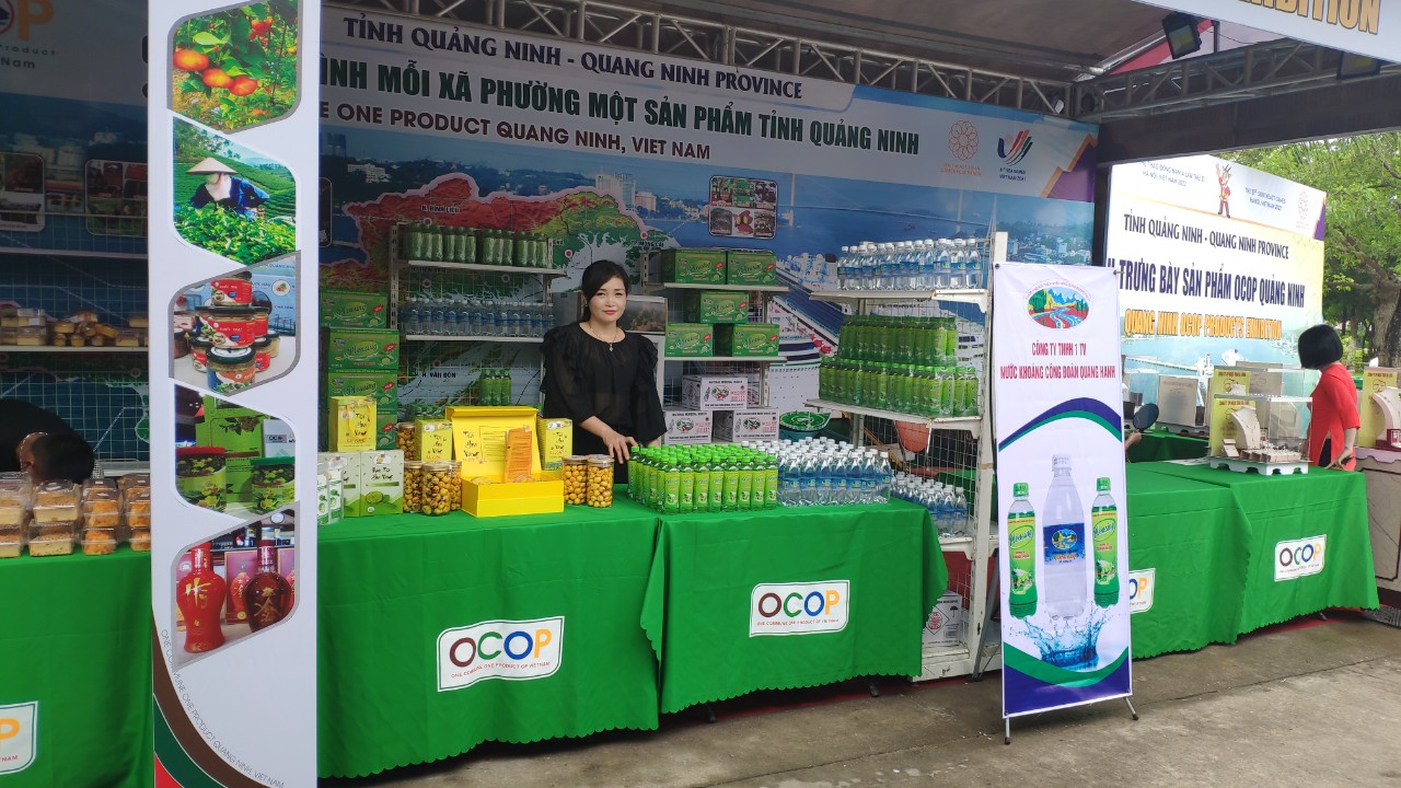 Hội chợ, triển lãm - Xúc tiến thương mại