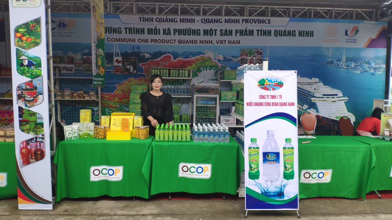 Hội chợ, triển lãm - Xúc tiến thương mại