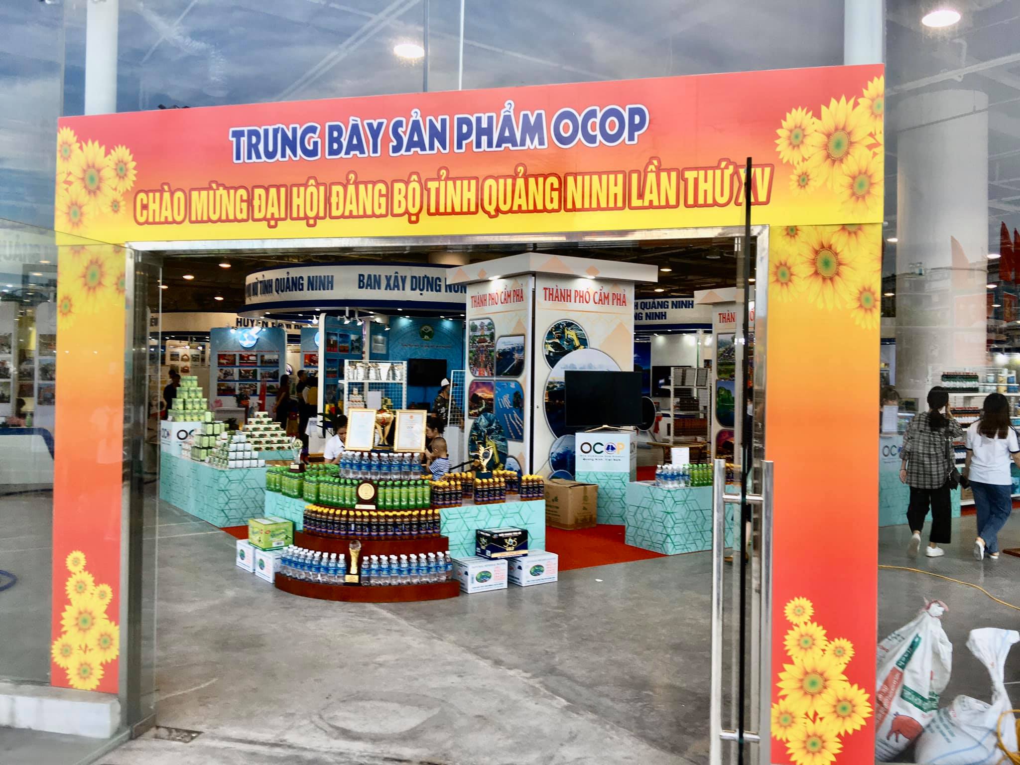 Hội chợ, triển lãm - Xúc tiến thương mại
