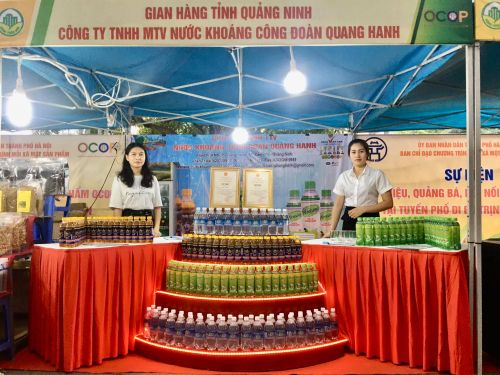 Hội chợ, triển lãm - Xúc tiến thương mại